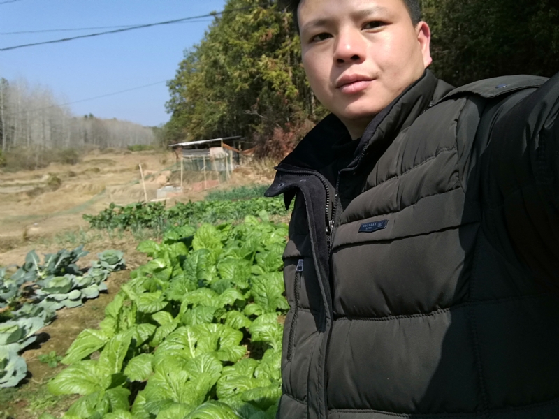 倔强的驴的第一张照片--武汉相亲服务中心