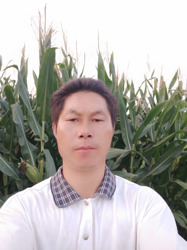 四海游龙的第二张照片--武汉相亲服务中心