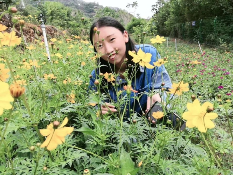 哈哈的第一张照片--武汉相亲服务中心