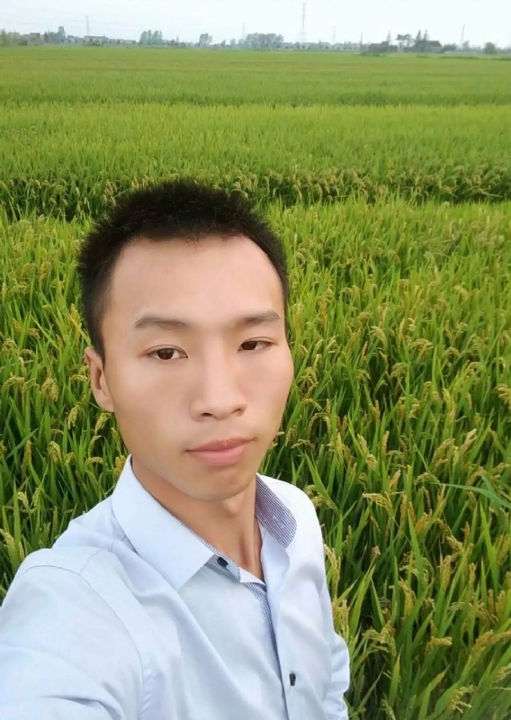 等待远方的你的第二张照片--武汉相亲服务中心