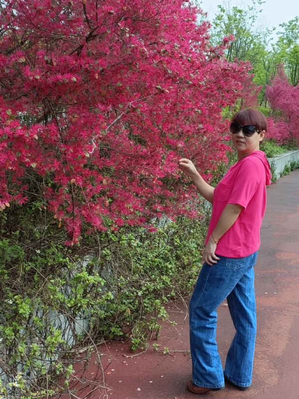 羊羊的第一张照片--武汉相亲服务中心