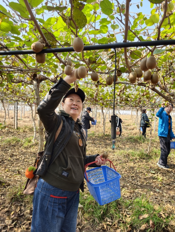 夜莺的第四张照片--武汉相亲服务中心